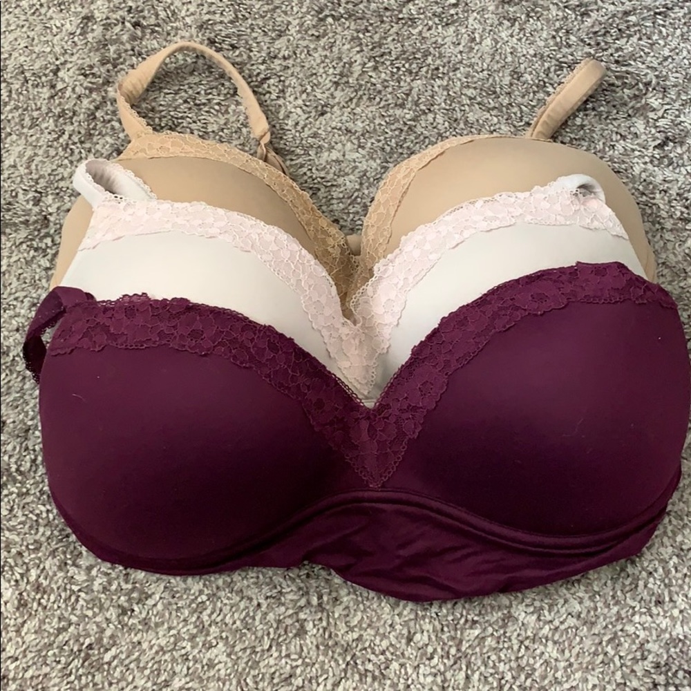 Body by Victoria bras